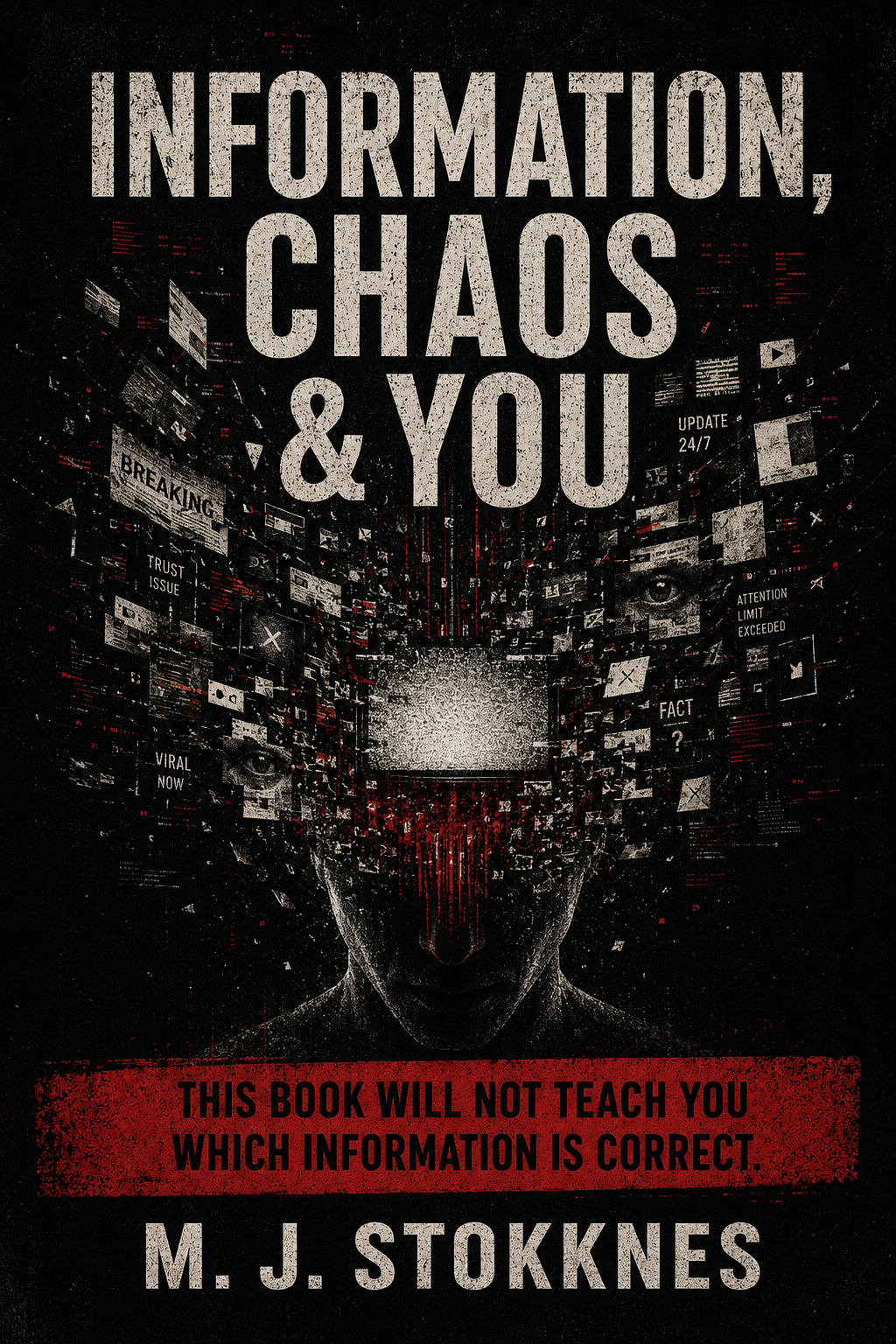 Information, Chaos and You book cover